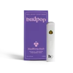 Budpop Delta 8 + Live Resin 2g Disposables (1600 mg) – Blackberry Kush